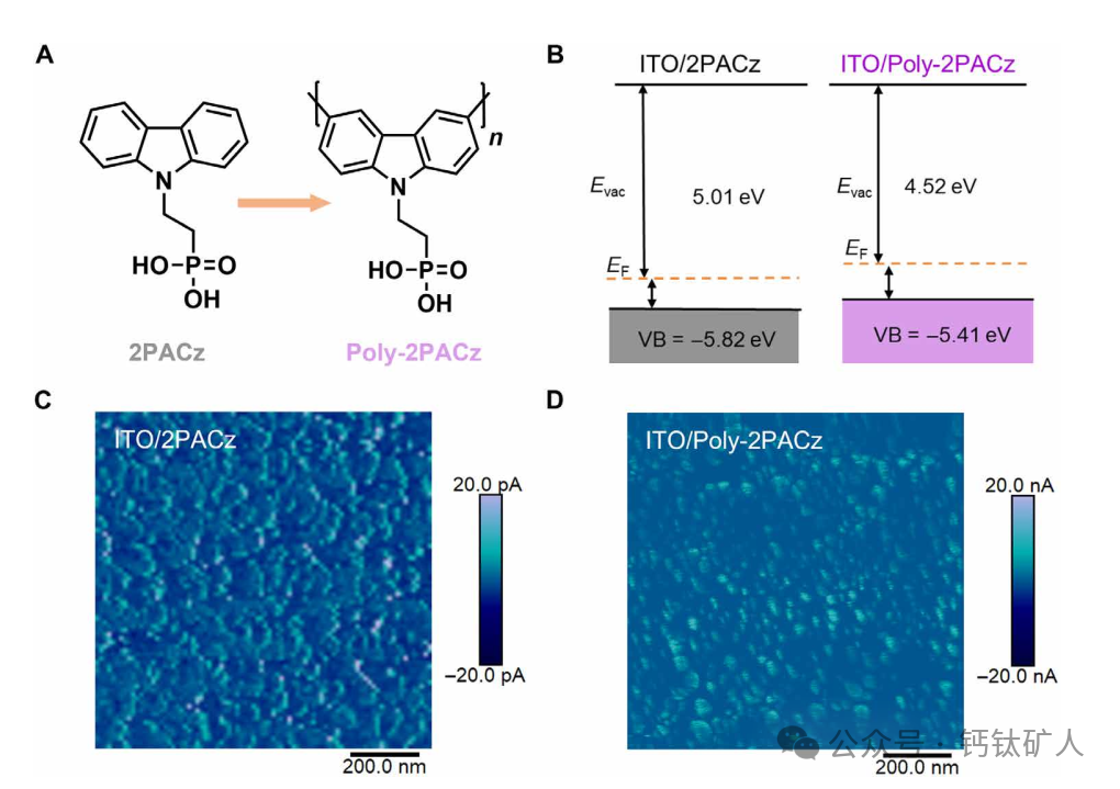 南京大学陈尚尚Science Advances：26.0%！poly-SAMs助力实现紫外稳定高效钙钛矿太阳能模组！