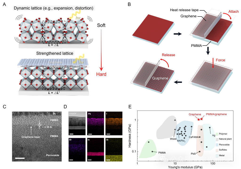 华东理工钙钛矿电池突破登顶《Science》：破解稳定性魔咒，光伏产业或迎革命性拐点