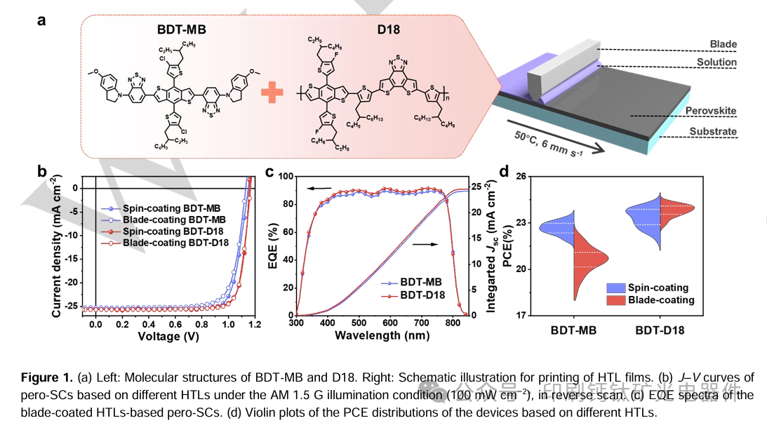 四川大学李鸿祥&苏州大学李耀文 Angew：分子协同策略实现无掺杂空穴传输层，助力全印刷高性能钙钛矿太阳能电池组件