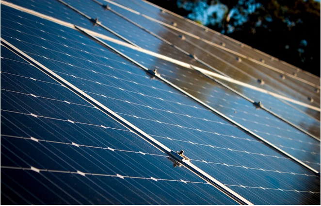 586MW！该光伏公司斩获美国组件大单