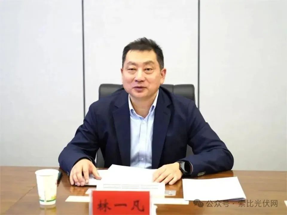 林一凡任国网山东电力公司董事长