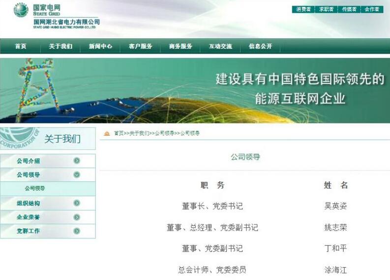 丁和平任国网湖北电力董事