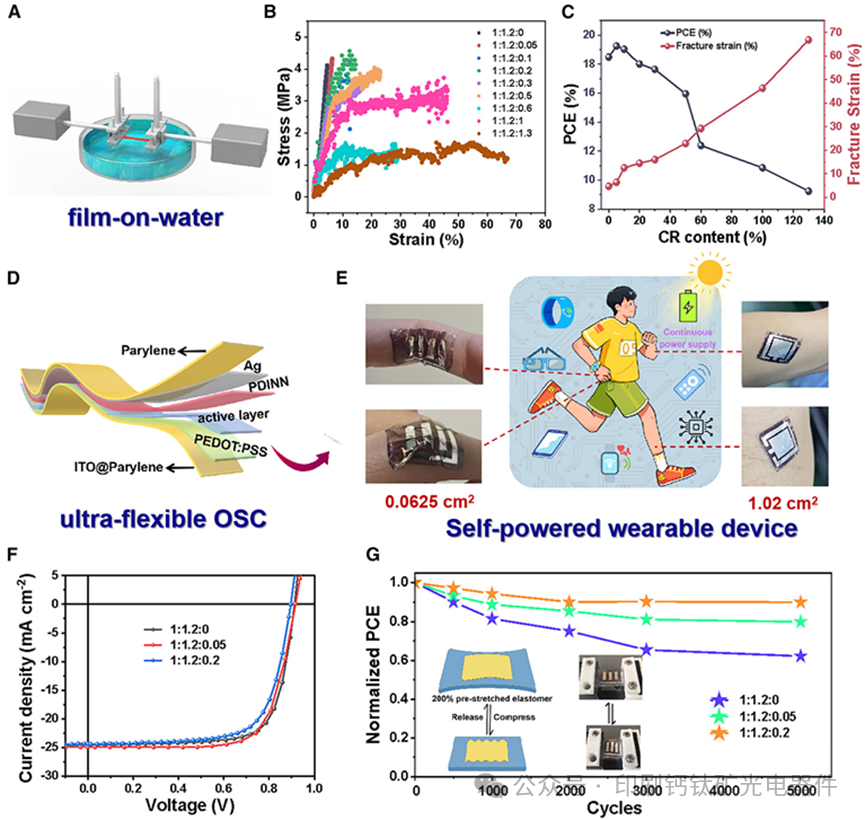 青岛大学王逸凡/薄志山/刘亚辉Joule：高效超柔性有机太阳能电池通过氯丁橡胶同时作为非挥发性固体添加剂与增塑剂实现