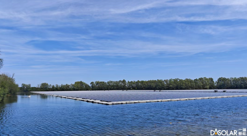 一道新能稳居全球光伏组件产量TOP8 技术创新与全球化战略双轮驱动绿色能源变革