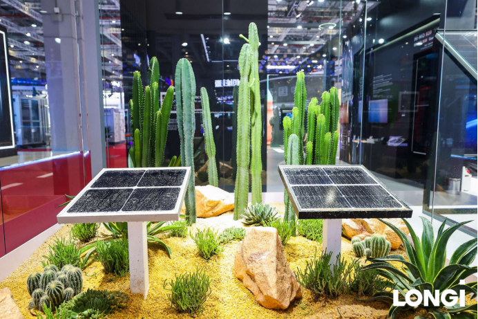 隆基 “三防组件”，凭什么成为分布式光伏 “爆款”