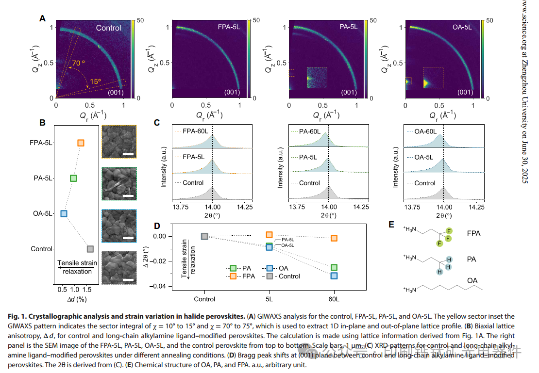 英国萨里大学Wei Zhang Sci.Adv.：通过2D/3D钙钛矿异质结形成卤化物钙钛矿中的应变弛豫