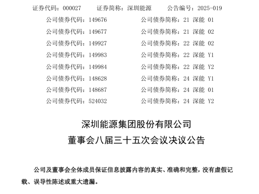 盛杨怿任深圳能源副总裁