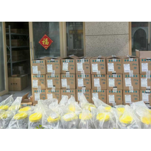 西门子电机 V90电机工业驱动配合增量编码器绝对值编码器-- 上海壹坤上元电气有限公司