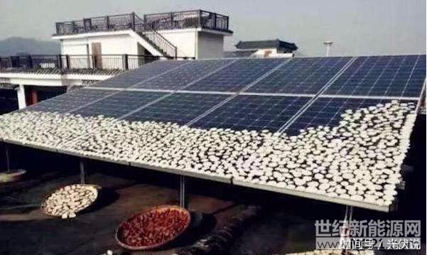 QQ截图20170918085820