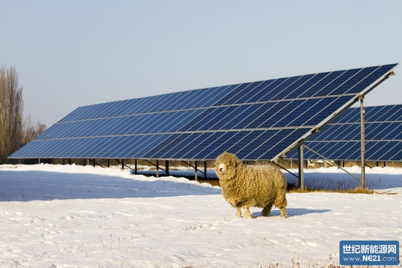 QQ图片20170104111305