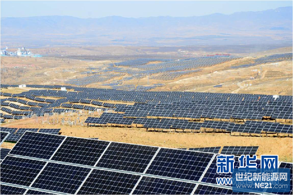 128940578_14618091503151n