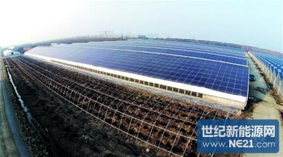 即墨太阳能小镇:光伏大棚能种菜能发电0 即墨太阳能小镇:光伏大棚能种菜能发电0