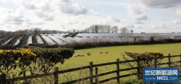 152a8c174b.jpg (592×275)