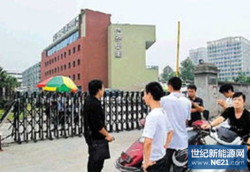 “眼镜大王”壮士断腕 信泰合并重整审结