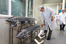 pic06.jpg (225×150)