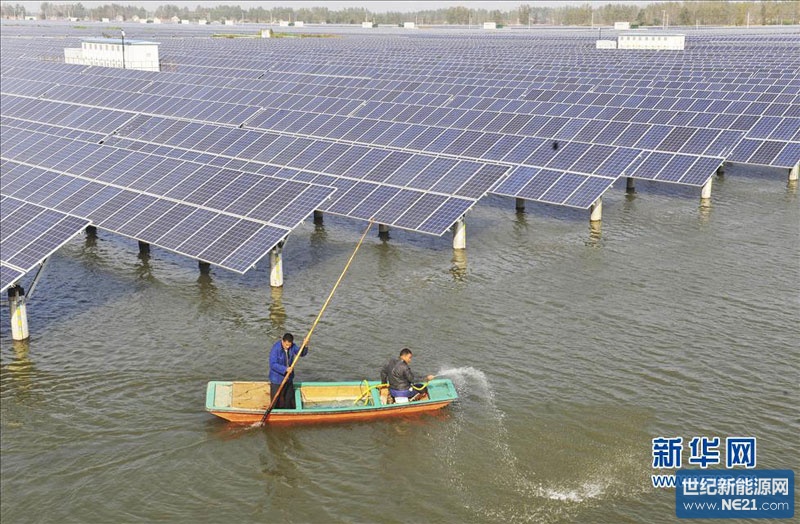 132830666_11n.jpg (800×524)