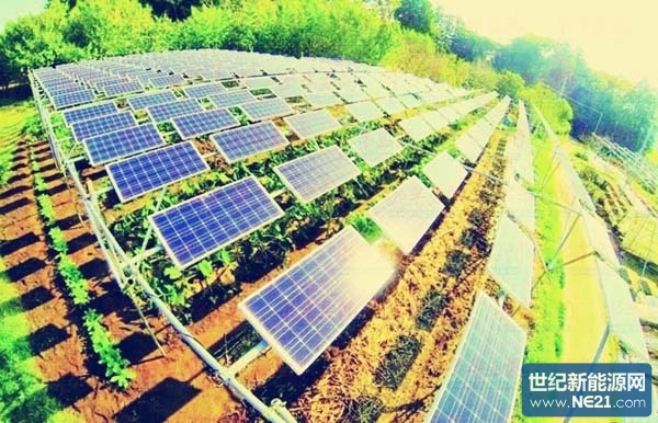 content_201508050919206104