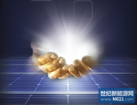 g3_5366437.jpg (442×339)