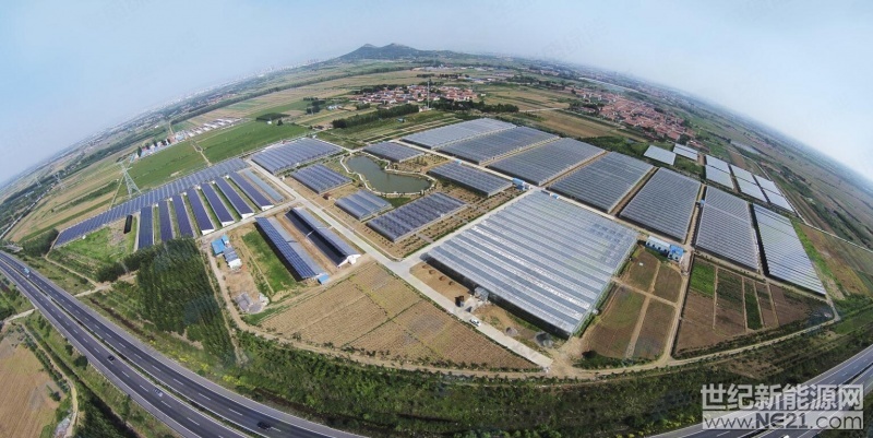 即墨太阳能小镇2