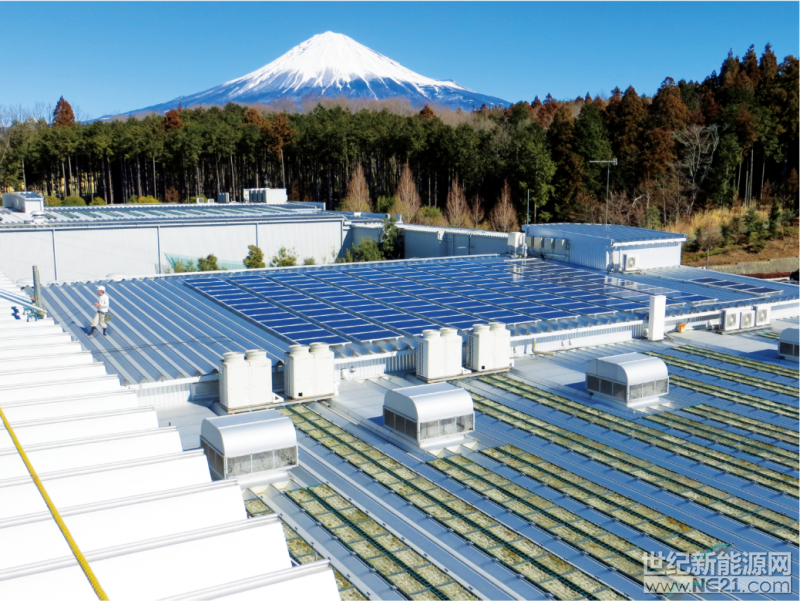 QQ截图20170502153349