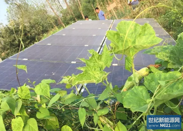 QQ截图20161201173531