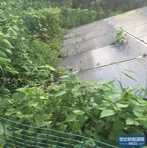 QQ截图20161201173545