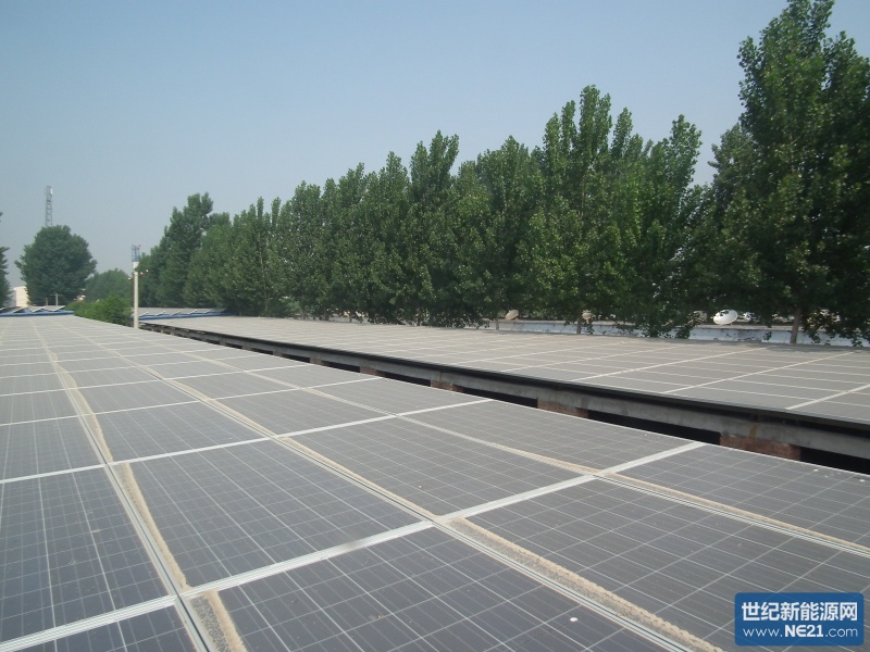 太阳能板直接用作猪舍屋顶