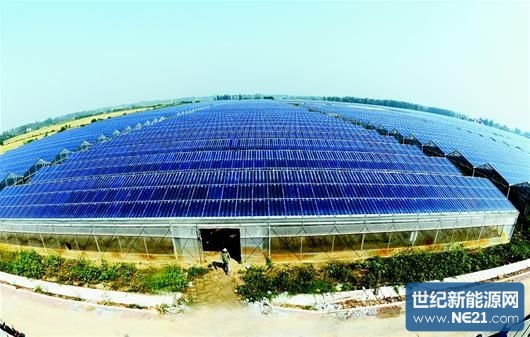 图文：棚顶发电 棚内种菜