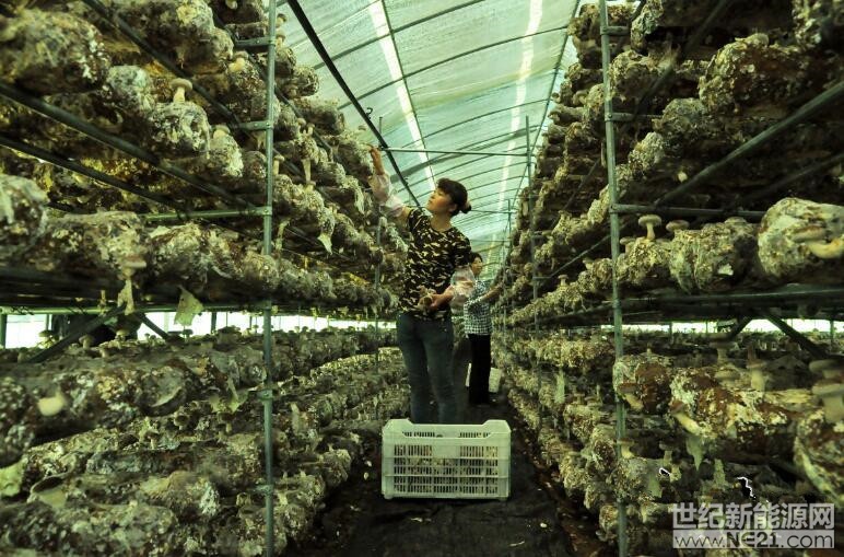 z08l-fykkfat0504743_副本