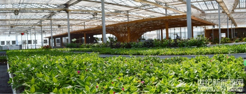 宁夏银川项目02