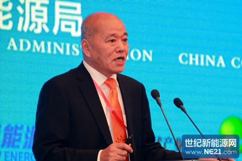 国家发改委能源研究所研究员王斯成