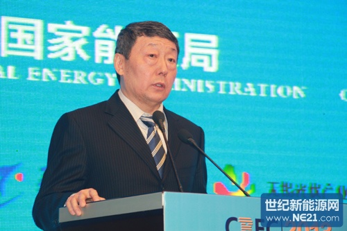 国家能源局新能源和可再生能源司司长王骏