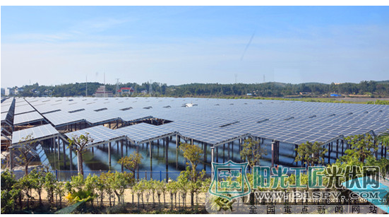 渔光互补 一地两用 俩份收入(图)