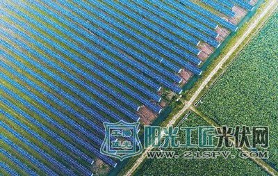光伏板和农田交相辉映