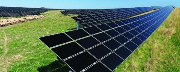 国外研究3D打印的创新型太阳能电池 灵感来源于黑蝴蝶翅膀