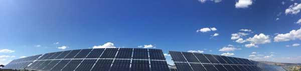 该基地内运行中的“熊猫”N型高效太阳能电池