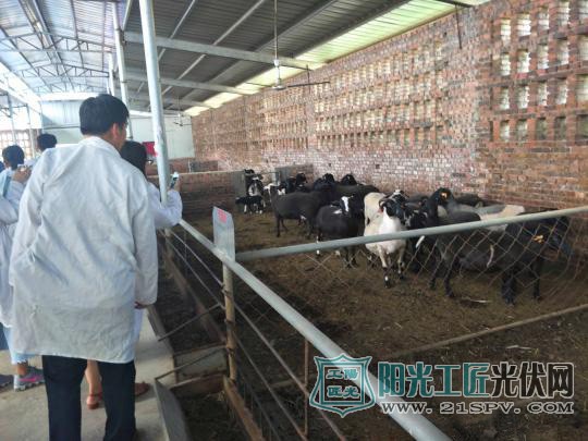 河北光伏扶贫点燃农民脱贫致富路 古村落焕发新生机