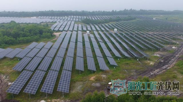 广东茂名：广东粤电茂名露天矿摇身一变成为“林光互补”项目