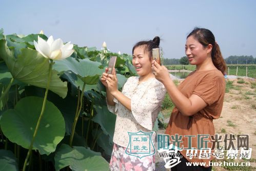 安徽亳州：古城镇30座<a href=