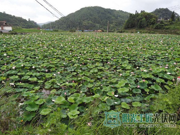 福建明溪:光伏发电照亮扶贫路