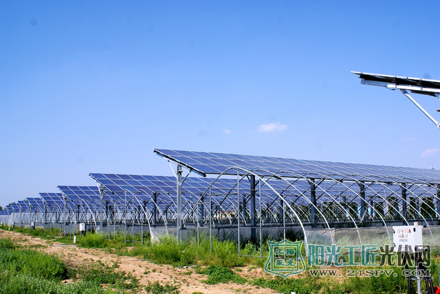 安徽亳州:光伏农业给农民插上致富的“翅膀”(图)