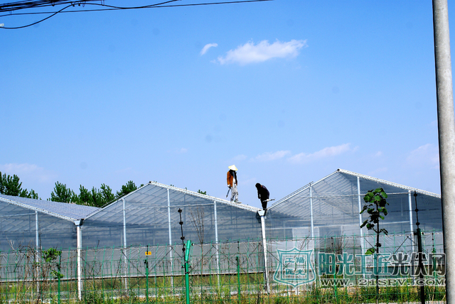 安徽亳州:光伏农业给农民插上致富的“翅膀”(图)