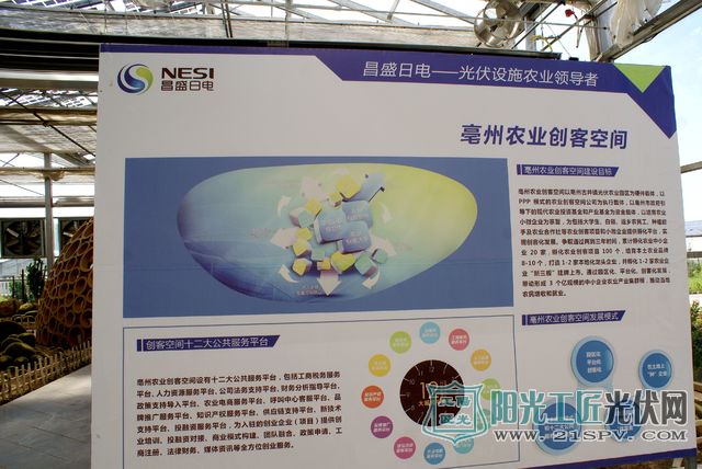 安徽亳州:光伏农业给农民插上致富的“翅膀”(图)