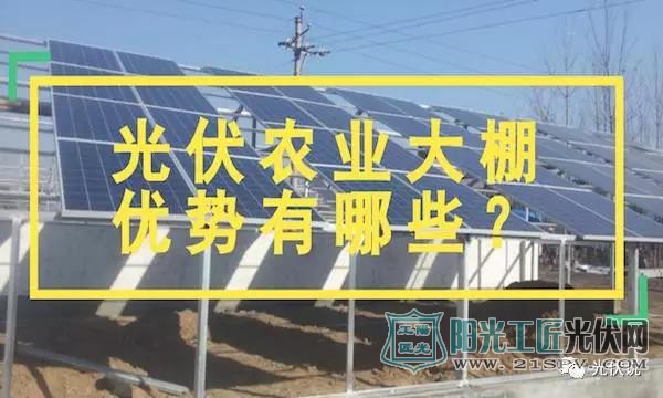 光伏农业大棚真稀罕  农民获取多方收益备受青睐