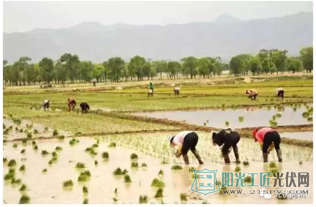 1个光伏=5亩田地,1块板解决全村人致富问题!