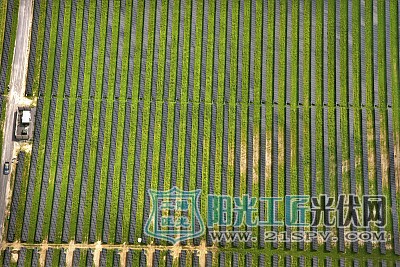 2017年能源监管清单:对光伏业影响好坏参半