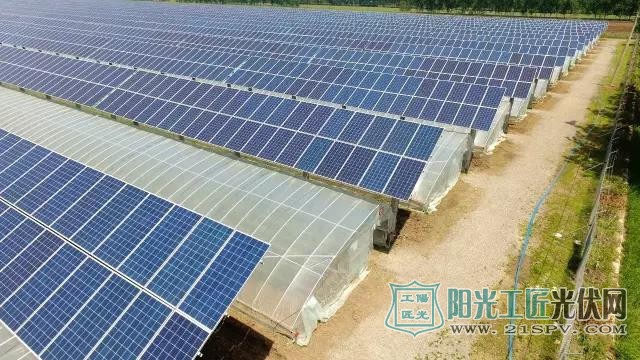 不争土地不减产 农业光伏精准扶贫“输血”变“造血”