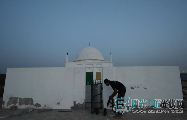 中国光伏发电站在巴基斯坦 光伏板下长出植物(图)