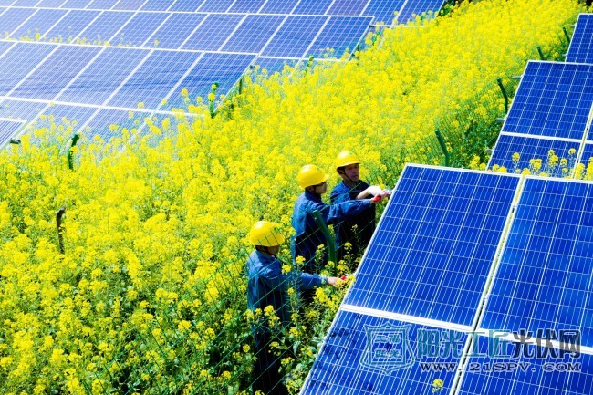 “阳光”助力,把根脱贫 光伏发电扶贫为临安经济薄弱村“造血”