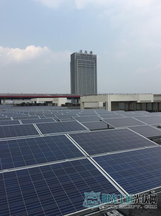 浙江义乌首个<a href=